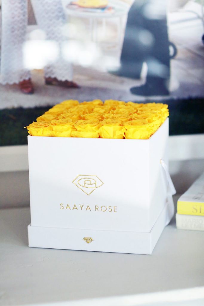 Hilary Kennedy Blog: // Saaya Rose, Roses that Last One Year